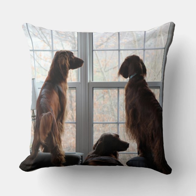 Irish Setter Pillow Kudde (Framsida)
