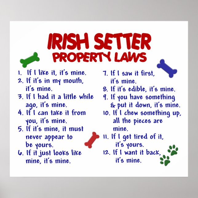 IRISH SETTER PL2 POSTER (Framsidan)