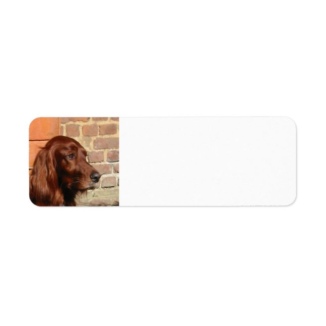 irish setter.png returadress etikett (Framsidan)