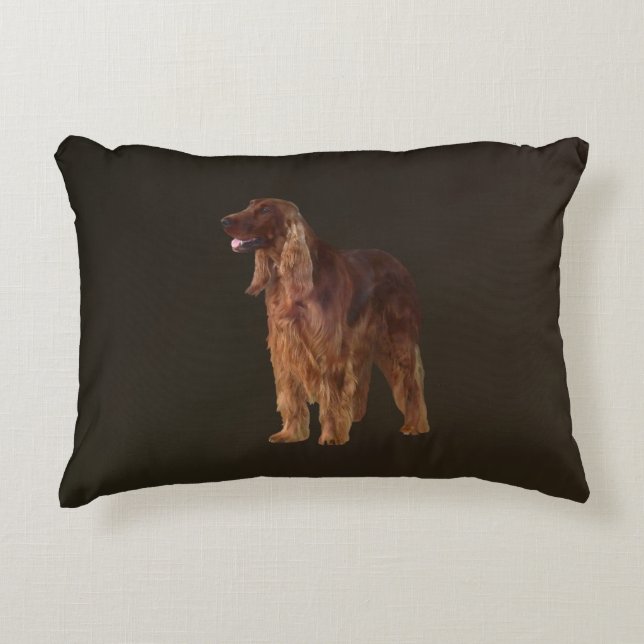 Irish Setter Prydnadskudde (Framsidan)