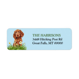 Irish Setter Puppy Daffodil Garden Returadress Etikett