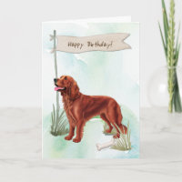 Irish Setter rasa Hund under Birthday Sign