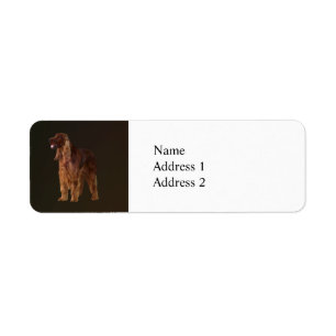 Irish Setter Returadress Etikett