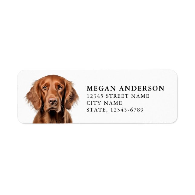 Irish Setter Returetiketters Returadress Etikett (Framsidan)