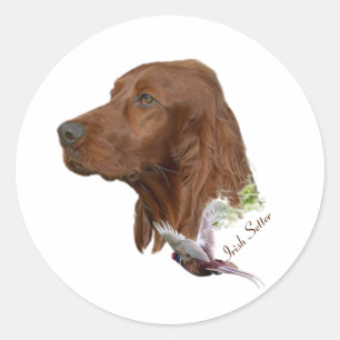 Irish Setter Runt Klistermärke