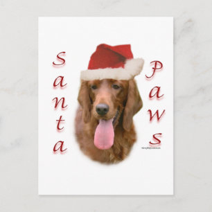 Irish Setter Santa Tassar Helg Vykort