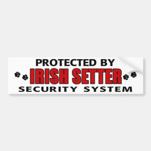 Irish Setter Security Bildekal