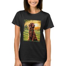 IRISH SETTER SOL BACK DROP