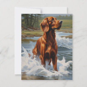 Irish Setter Tack Kort