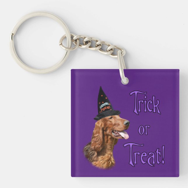 Irish Setter Trick (Framsidan)