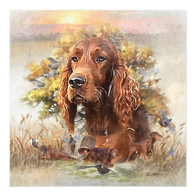 Irish Setter - Ultimate Upland Bird Hund Fototryck (Framsidan)