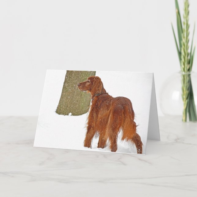 Irish Setter vinterfödelsedag Kort (Framsida)
