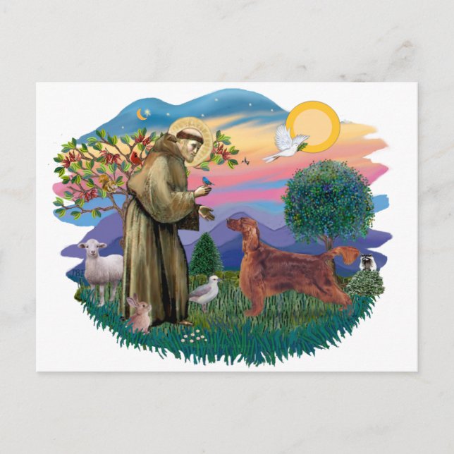 Irish Setter Vykort (Framsida)