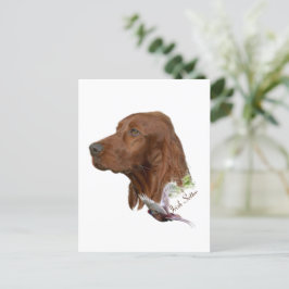 Irish Setter Vykort