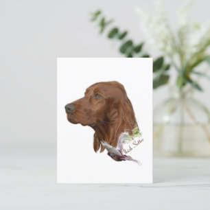 Irish Setter Vykort
