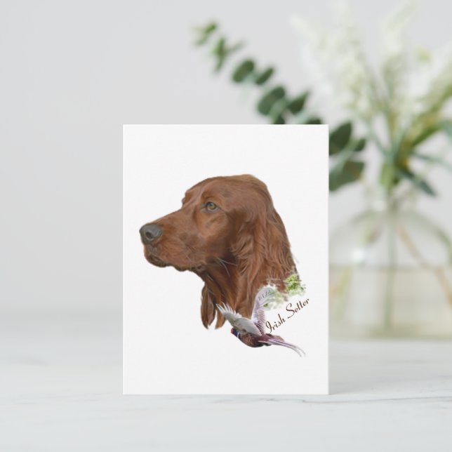 Irish Setter Vykort (Stående Fram)