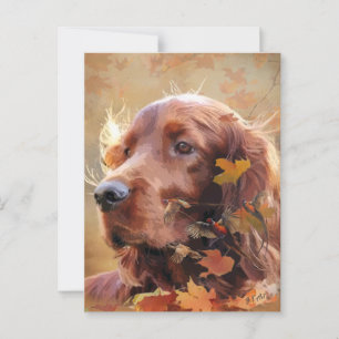 Irish Setter Vykort