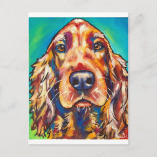 Irish Setter Vykort