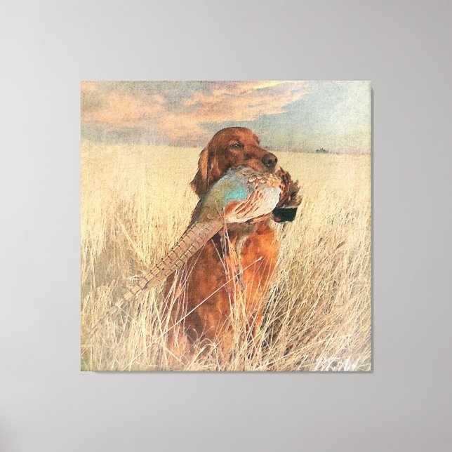 Irish Setter with pheasant Canvastryck (Framsida)