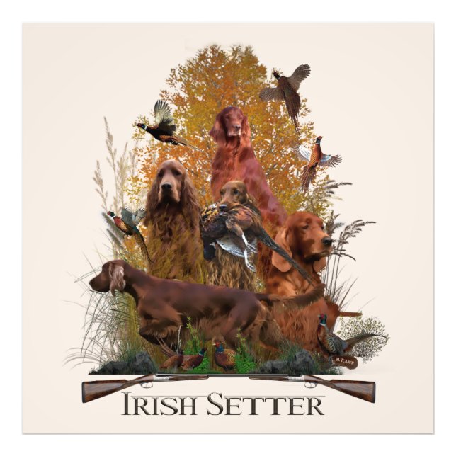 Irish Setter with pheasant Fototryck (Framsidan)
