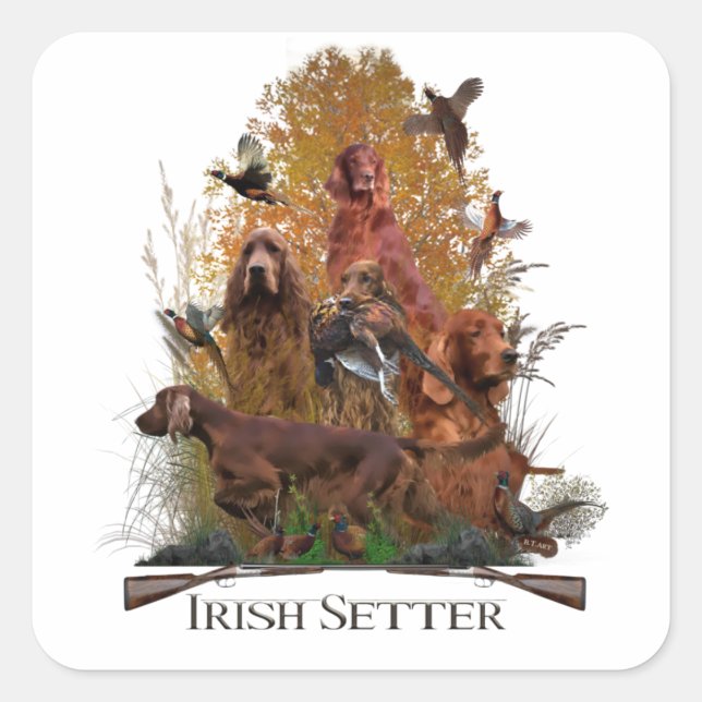 Irish Setter with pheasant Fyrkantigt Klistermärke (Framsida)