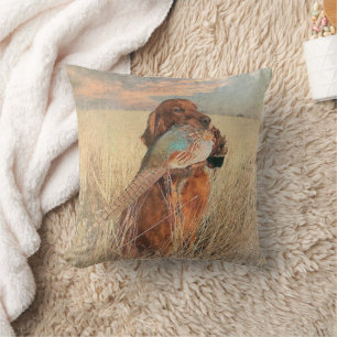 Irish Setter with pheasant Kudde