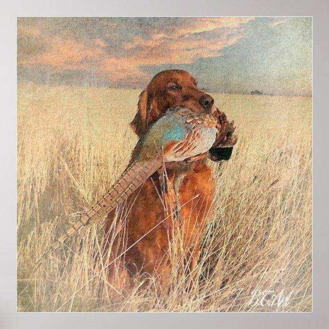Irish Setter with pheasant Poster (Framsidan)