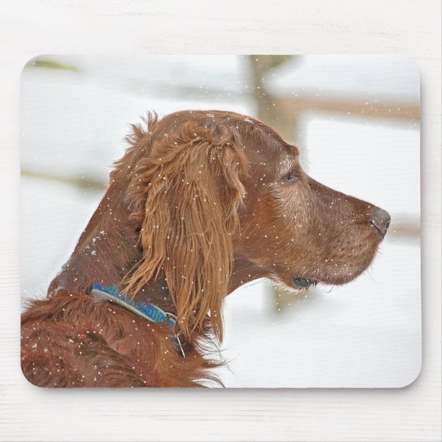 Irish Setter with snöflingor Musmatta (Framsidan)