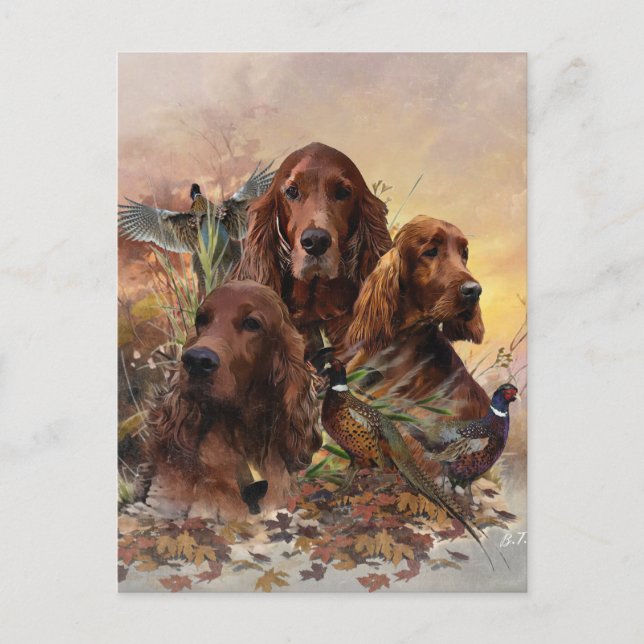 Irish Setters with Pheasants - Passion Hunt Helg Vykort (Framsida)