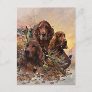 Irish Setters with Pheasants - Passion Hunt Vykort