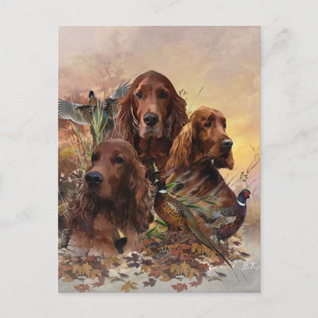Irish Setters with Pheasants - Passion Hunt Vykort (Framsida)