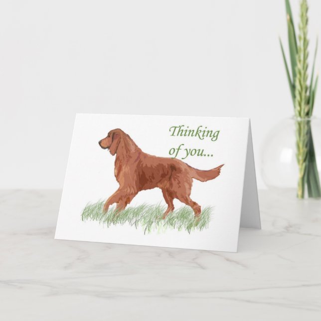 Irish Settter Sympathy Card Kort (Framsida)