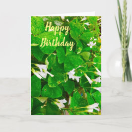 Irish Shamrock Birthday Greetings Card Kort