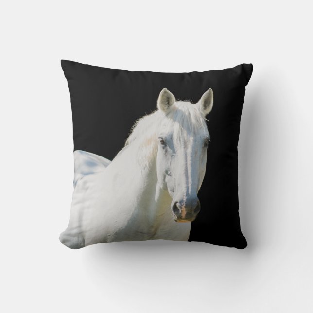 Irish Sport Horse - Juel Kudde (Framsida)