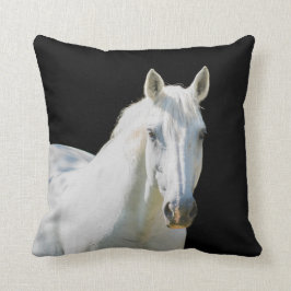 Irish Sport Horse - Juel Kudde