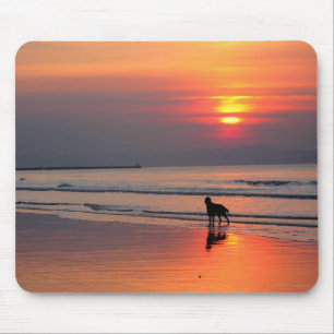 Irish Sunset Musmatta