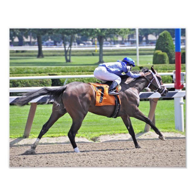 Irish Sweepstakes with Rajiv Maragh Fototryck (Framsidan)