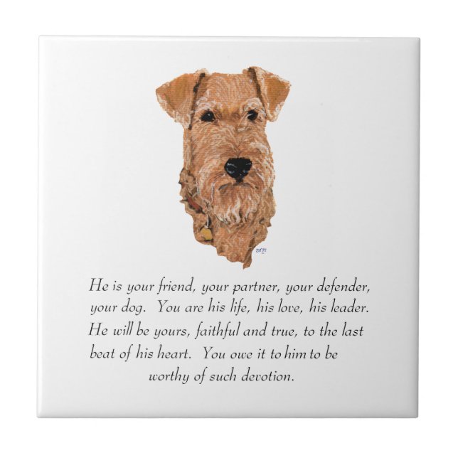 Irish Terrier Keepsaké - Male Kakelplatta (Framsidan)