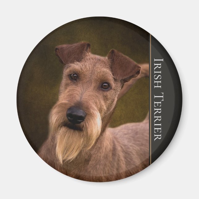 Irish Terrier Magnet (Framsidan)