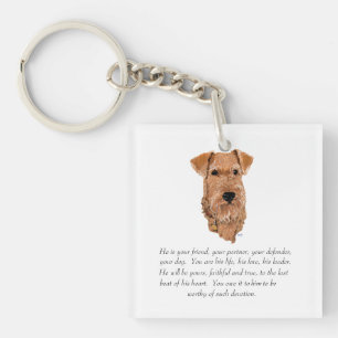 Irish Terrier Minnessak - Hane