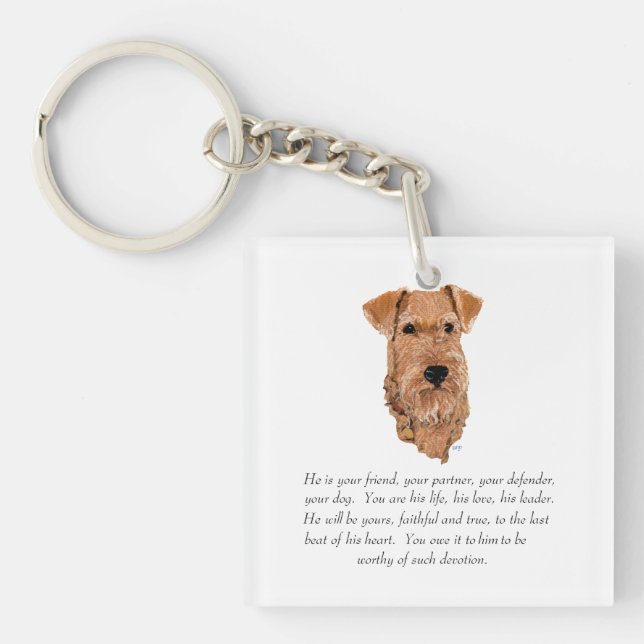 Irish Terrier Minnessak - Hane (Framsidan)