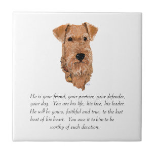 Irish Terrier Minnessak - Hane Kakelplatta