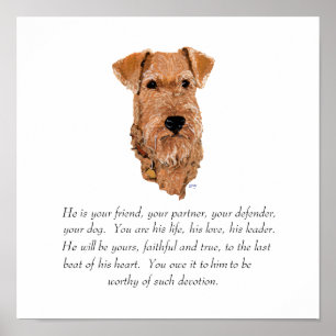 Irish Terrier Minnessak - Hane Poster