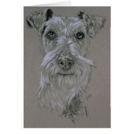 Irish Terrier OBS Kort