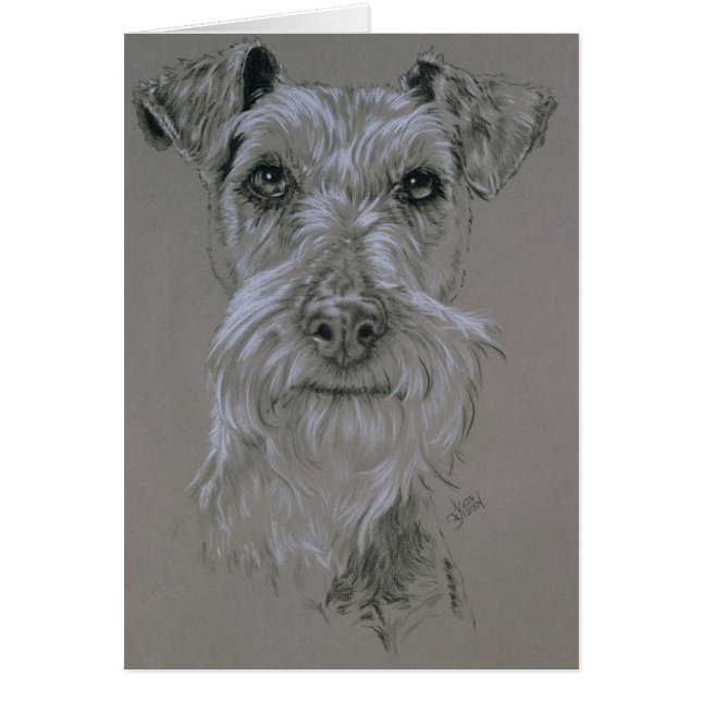 Irish Terrier OBS Kort (Framsidan)