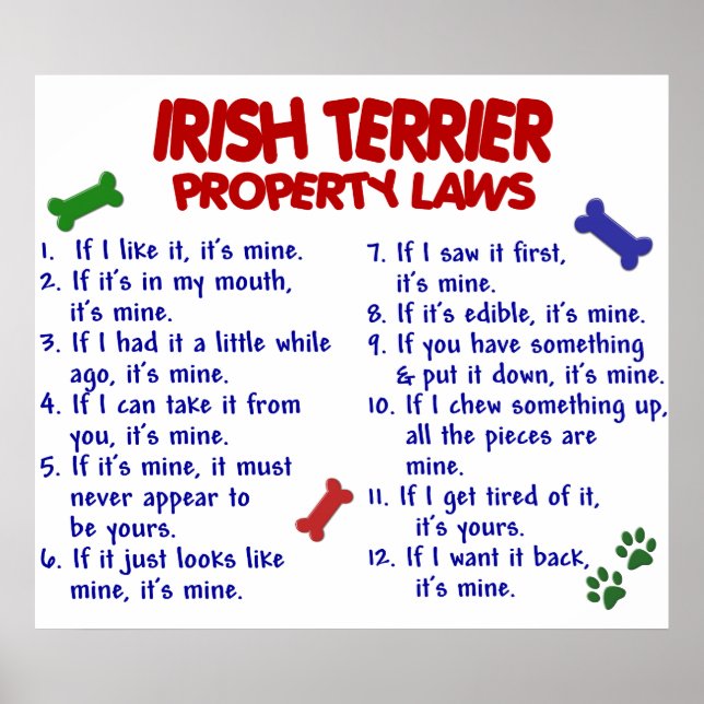 IRISH TERRIER PL2 POSTER (Framsidan)