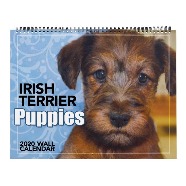 Irish Terrier Puppies 2020 Wall Calendar Kalender (Omslag)