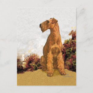 Irish Terrier Seaside Vykort
