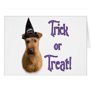 Irish Terrier Trick Hälsningskort