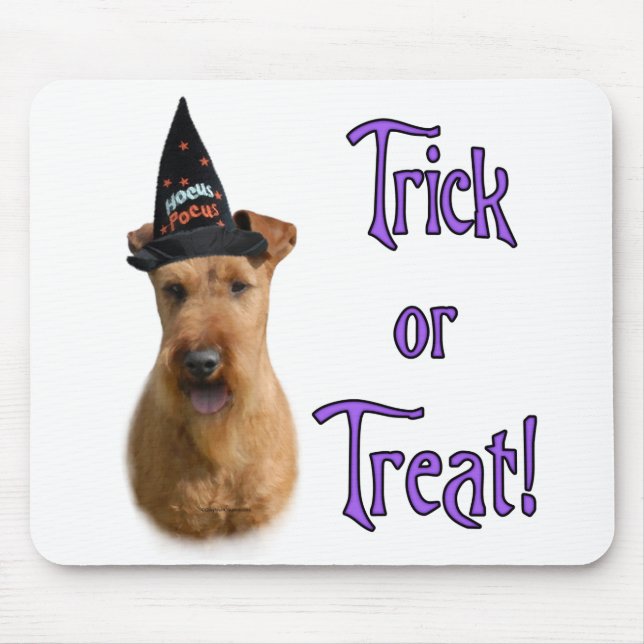 Irish Terrier Trick Musmatta (Framsidan)
